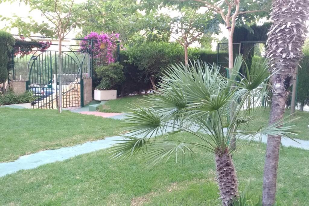 Apartamento Moderno Benidorm Exteriör bild
